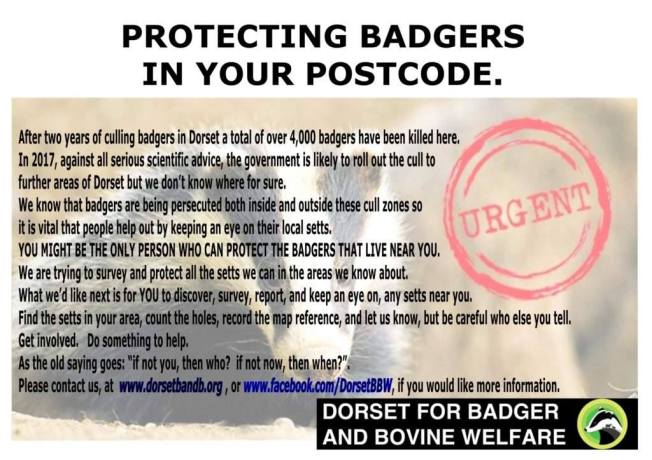 cid_ii_ize6la2z0_15a5bdd922f344a2