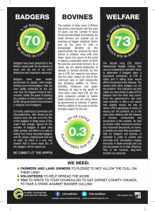 Dorset BBW Leaflet Back