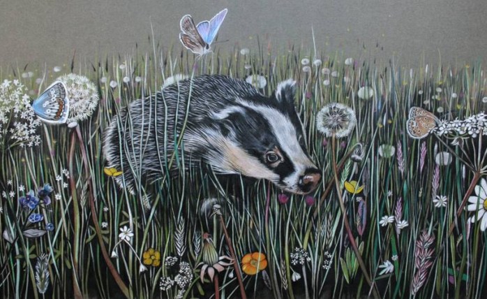 sam-new-badger-cropped