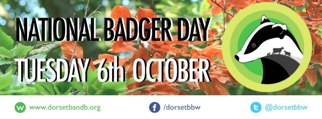 badger day