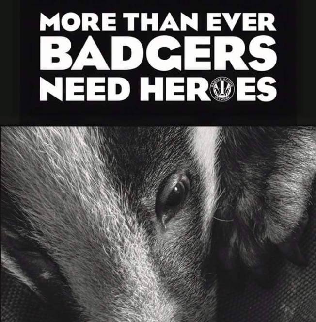 14079801_1082701521821799_2592883004782379309_n